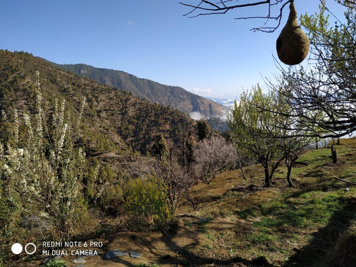 In Apple Estate Kanatal - Himalayan View Resort With Courteous Staff Εξωτερικό φωτογραφία