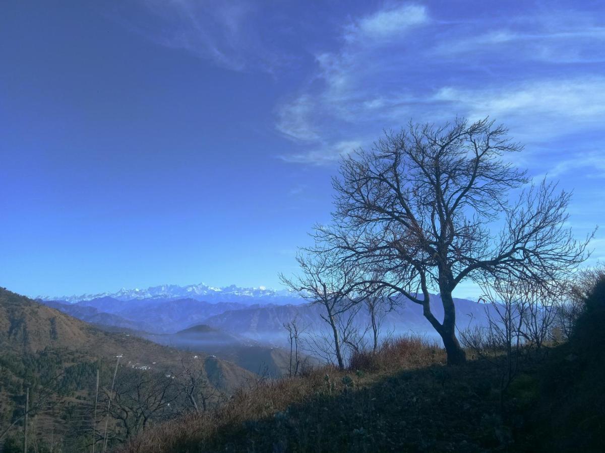 In Apple Estate Kanatal - Himalayan View Resort With Courteous Staff Εξωτερικό φωτογραφία