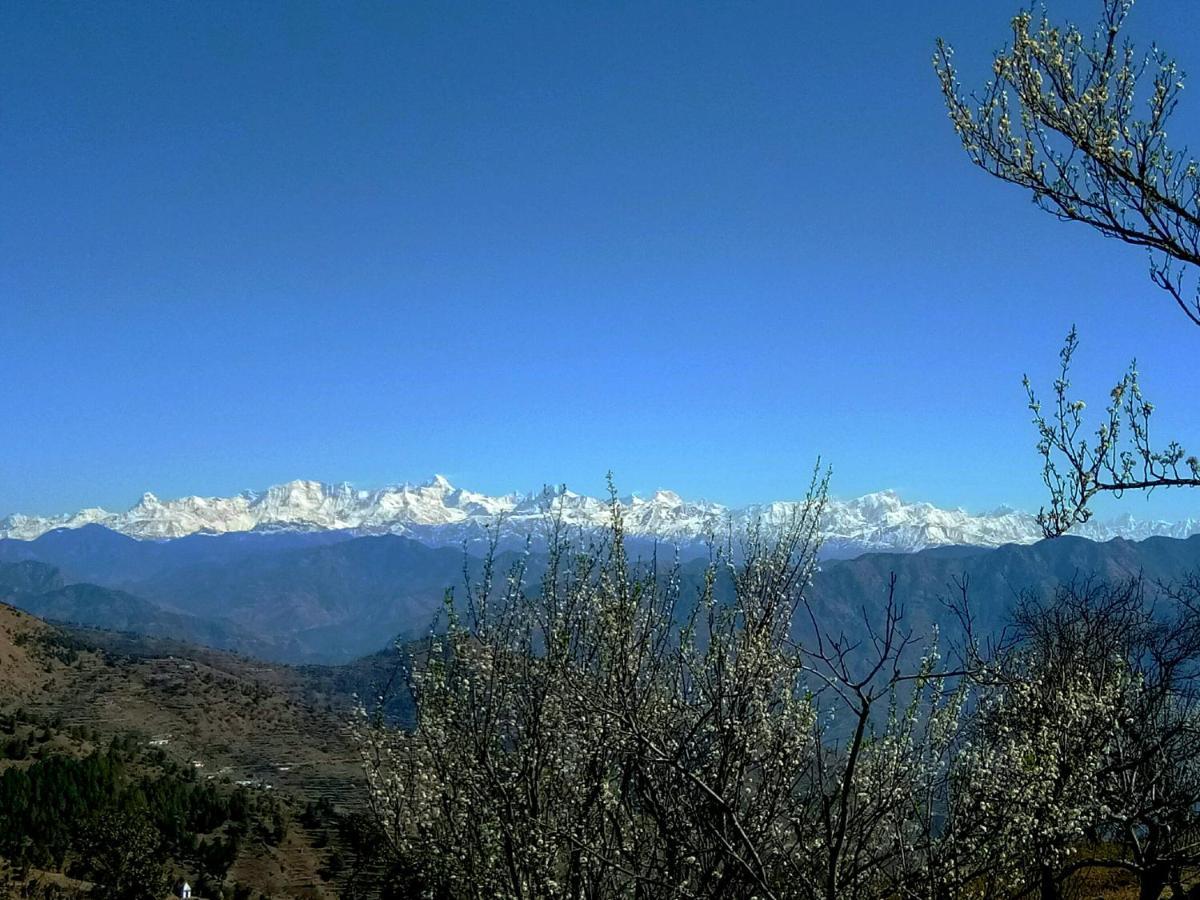 In Apple Estate Kanatal - Himalayan View Resort With Courteous Staff Εξωτερικό φωτογραφία