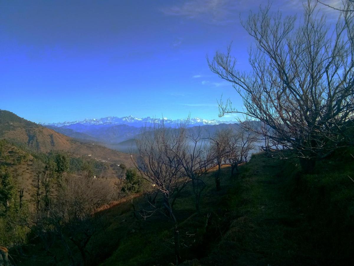 In Apple Estate Kanatal - Himalayan View Resort With Courteous Staff Εξωτερικό φωτογραφία