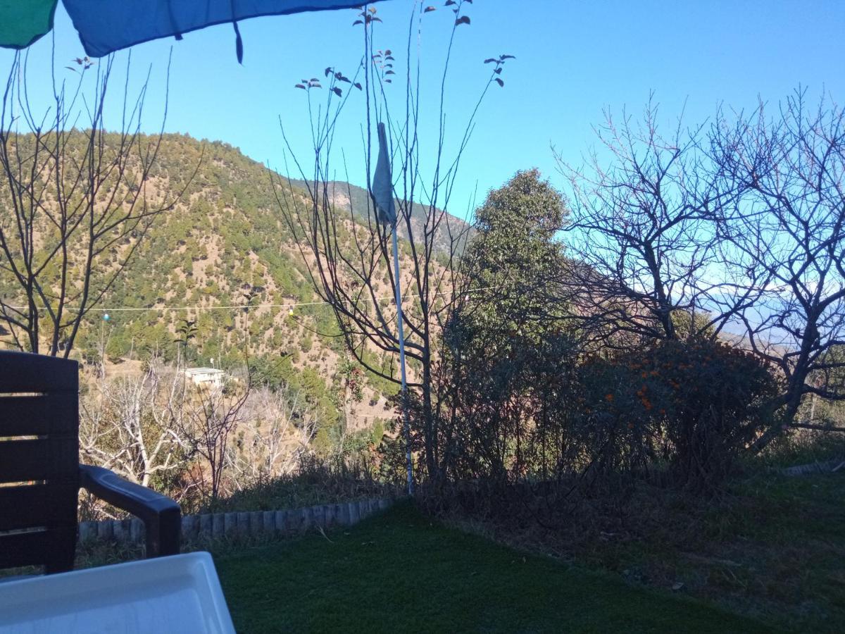 In Apple Estate Kanatal - Himalayan View Resort With Courteous Staff Εξωτερικό φωτογραφία