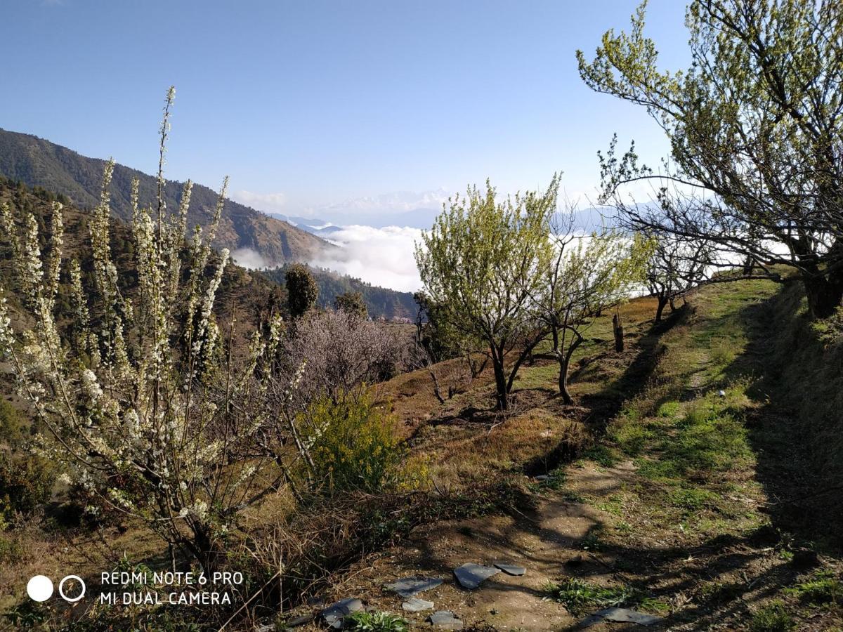 In Apple Estate Kanatal - Himalayan View Resort With Courteous Staff Εξωτερικό φωτογραφία